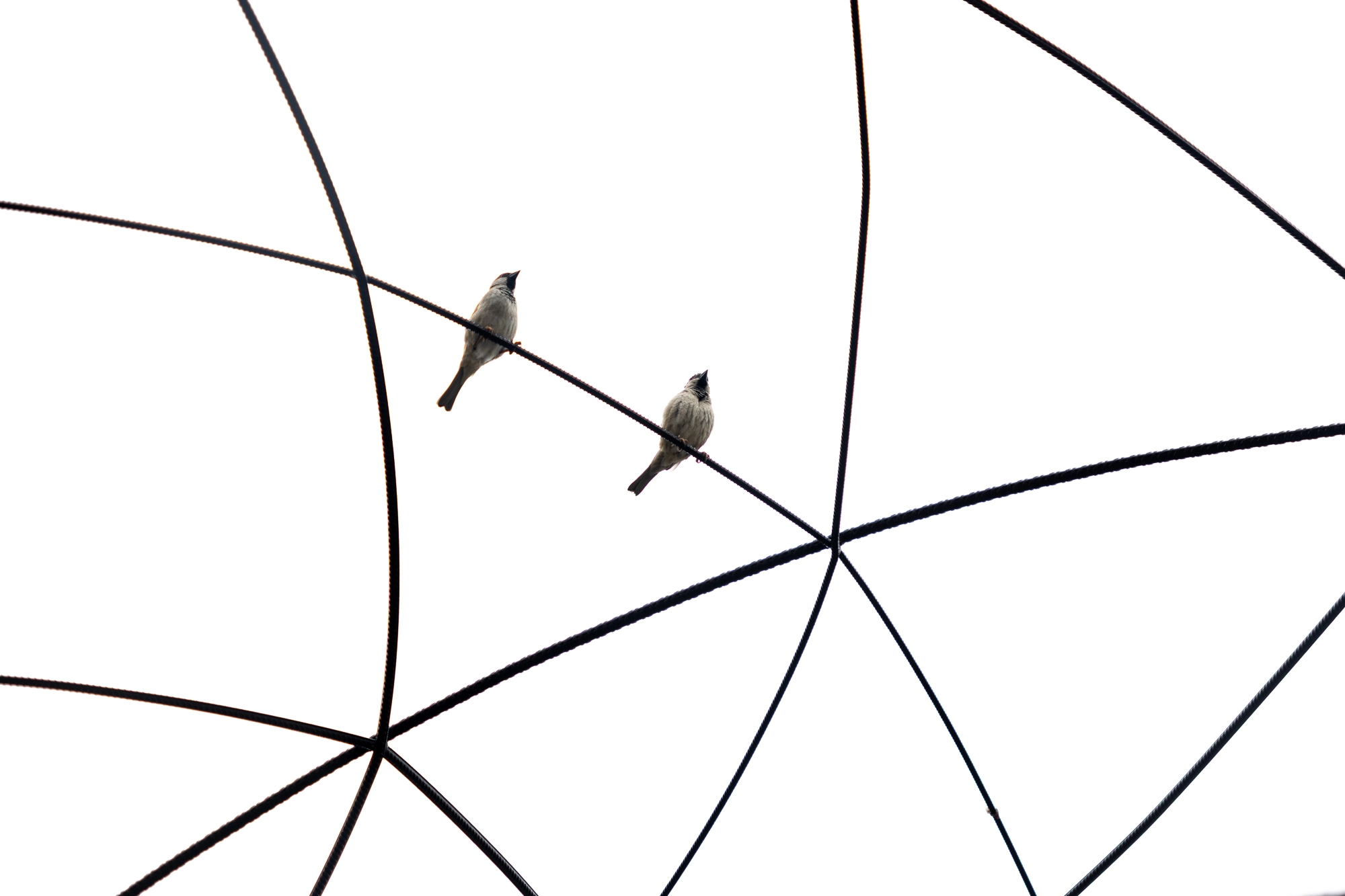 Apart Together (2026)